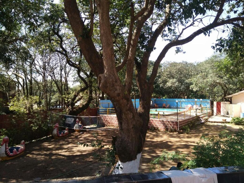 Regal 3*